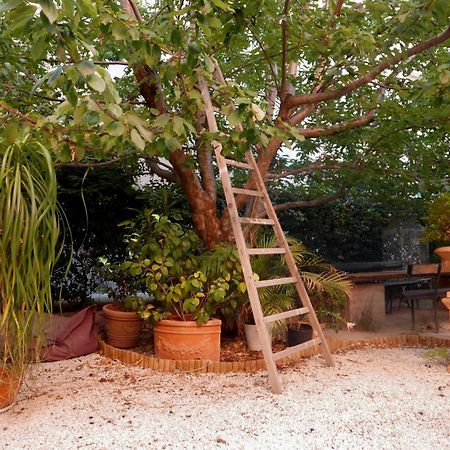 Jardin Vieux Port Panier Hotell Marseille Exteriör bild